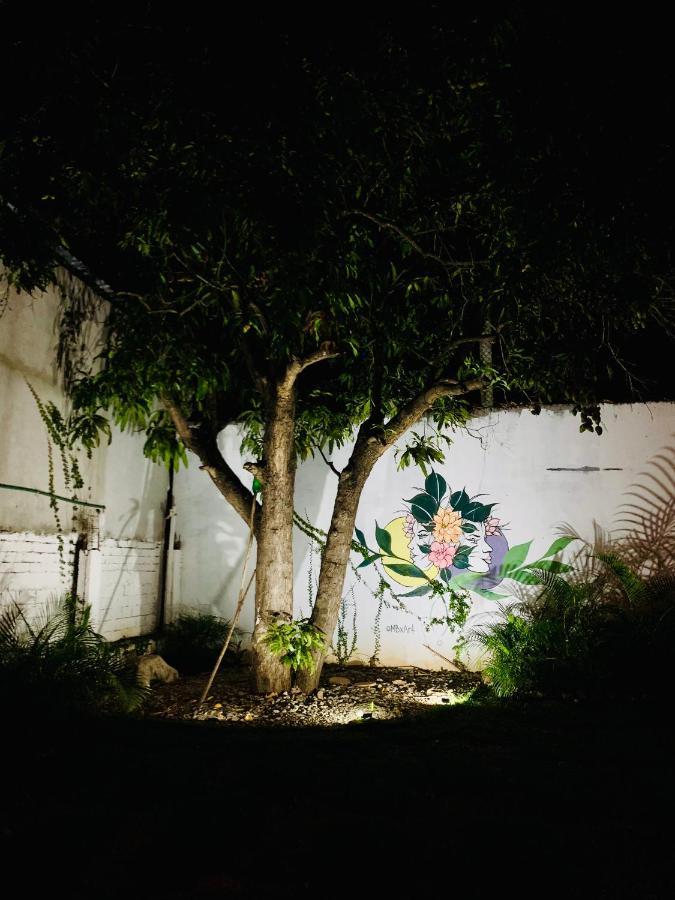 プエルト・エスコンディード Colorada Houseホステル エクステリア 写真